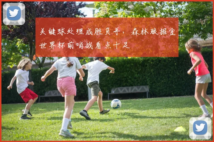 关键球处理成胜负手，森林狼掘金世界杯前哨战看点十足