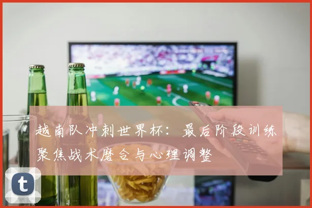 越南队冲刺世界杯:最后阶段训练聚焦战术磨合与心理调整