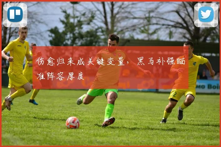 伤愈归来成关键变量,黑马补强瞄准阵容厚度
